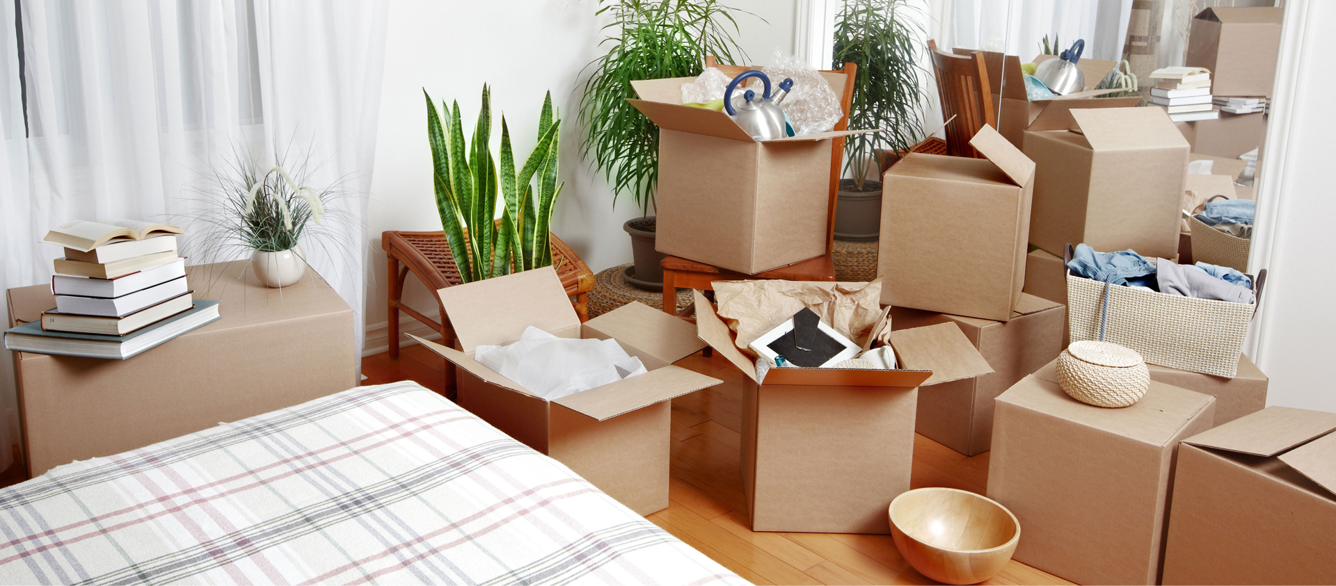cheap furniture removalists adelaide, cheap removalists adelaide, furniture removal adelaide, furniture removals adelaide, interstate removalists adelaide, movers adelaide, piano removalists adelaide, removal self storage adelaide, removalists adelaide, removals adelaide